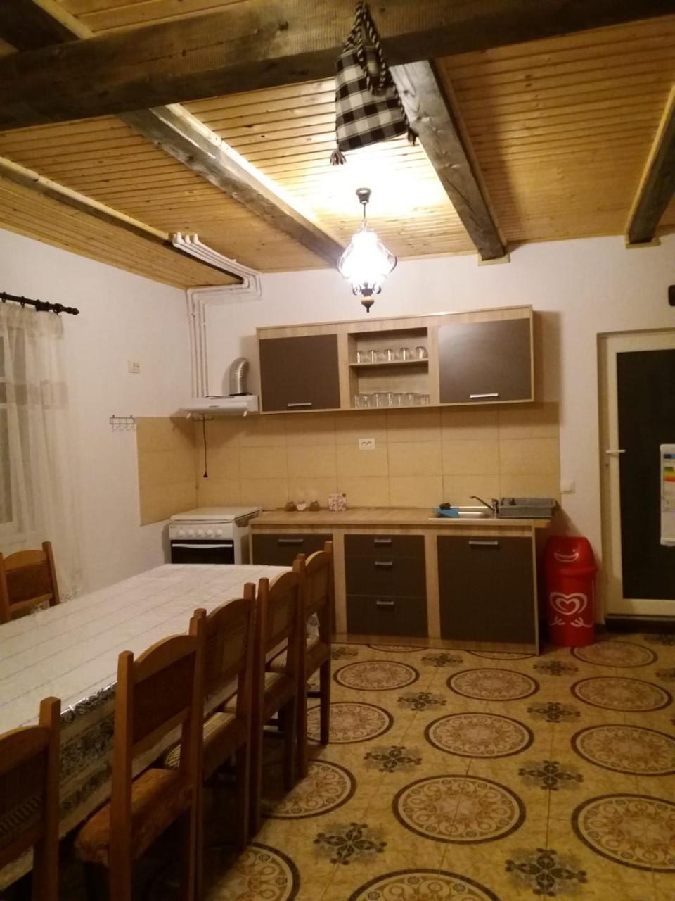 Budeşti Casa Cupceaヴィラ エクステリア 写真