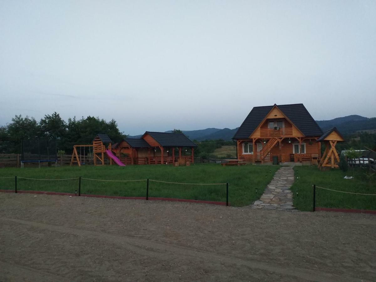 Budeşti Casa Cupceaヴィラ エクステリア 写真